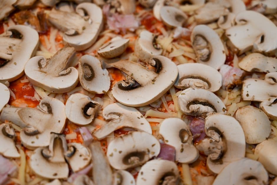 Automne : cuisiner les champignons sauvages