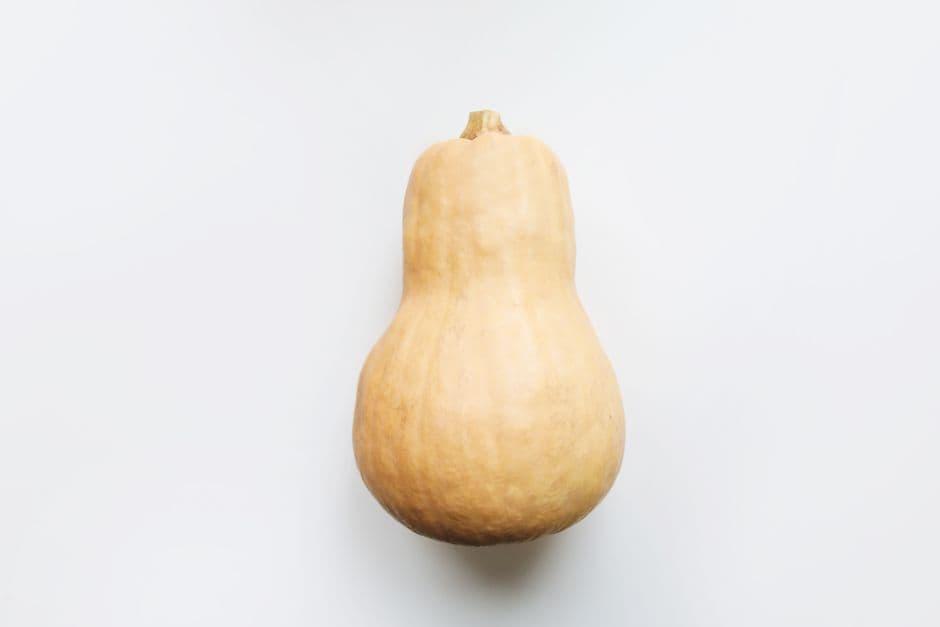 Automne : la courge butternut