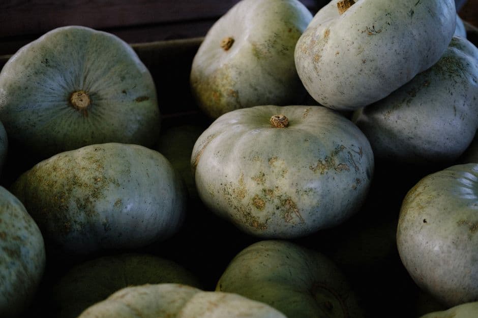 Les courges d'automne en cuisine
