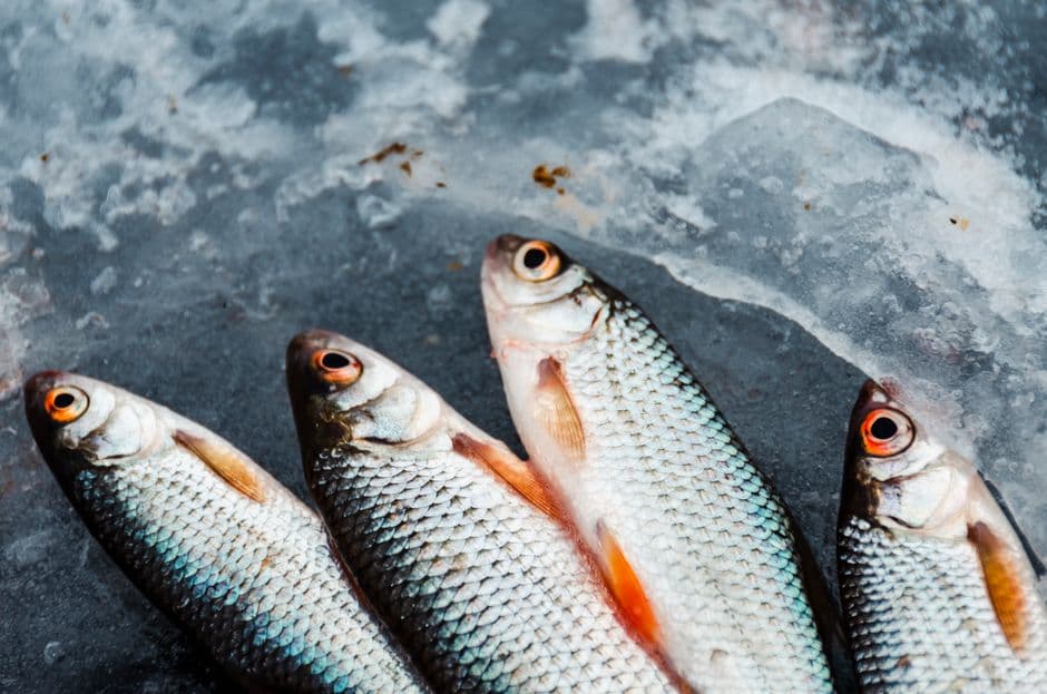 Cuire un poisson parfaitement