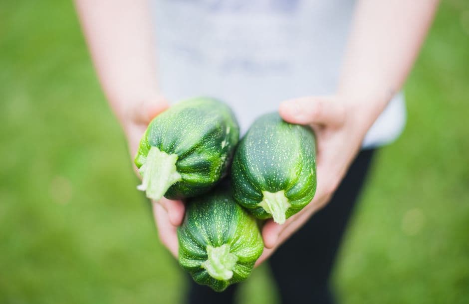 Été : les courgettes en cuisine